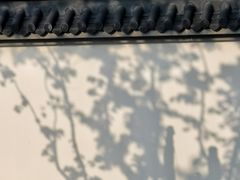 -龙华寺