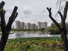 -新江湾城公园