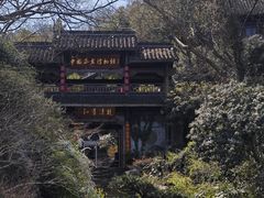 -中国茶叶博物馆(双峰馆区)