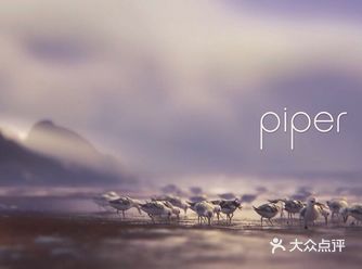 逃时光｜观《Piper·鹬》