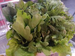 蔬菜拼盘-風林火山烤室·涮肉
