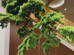 -正清和·推拿养生(二七广场店)