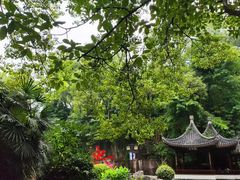 -忠山公园