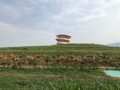 -光明小镇欢乐田园