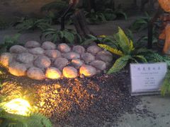 -延庆地质公园博物馆