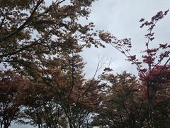 -乌石村