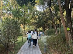 -云溪植物园