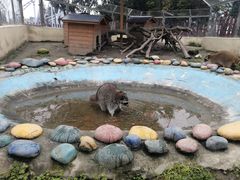 -国色天乡三期陆地乐园