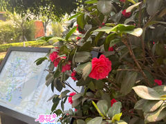 -铁像寺水街