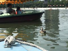 -大宁灵石公园西门票处