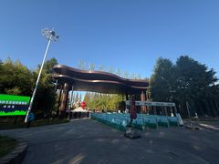 -黄海国家森林公园