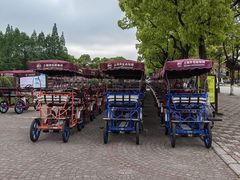 -上海野生动物园
