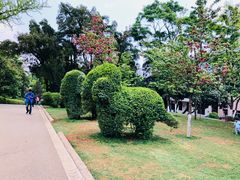 -昆明动物园