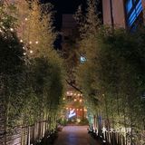 ️店名:Café Kitsuné/커페 키츠네