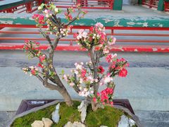 -陶然亭公园