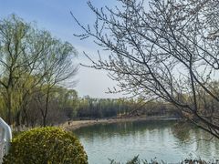 -大兴滨河森林公园
