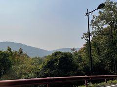 -宝界山林公园