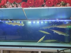 -無招牌海鮮(芽笼店)