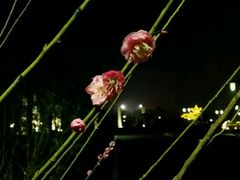 -天屿湖