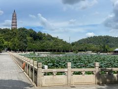 -顺峰山公园