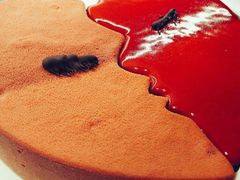 -喜来登酒店-盛宴标帜餐厅