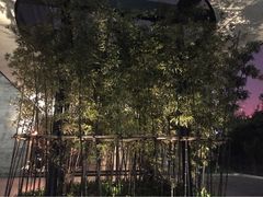 iphone_upload_pic-上海璞麗酒店