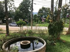 -黄色小屋