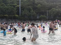 -重庆海昌加勒比海水世界