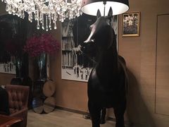 -苏浙总会(国金中心店)