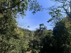 -野象谷景区