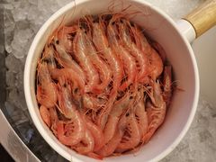 -舟山希尔顿酒店·開自助餐厅