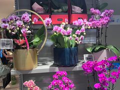 -盒马鲜生(双清路店)