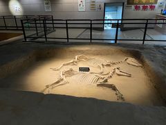 -洛阳周王城天子驾六博物馆