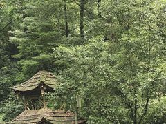 -青城山