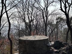 -紫金山山顶公园