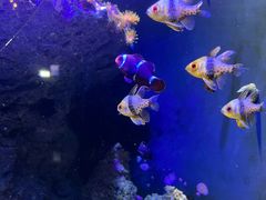-成都浩海立方海洋公园