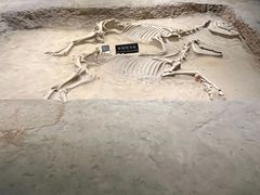 -洛阳周王城天子驾六博物馆