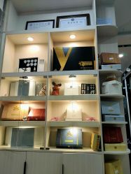 -DEM缔怡美科技美容