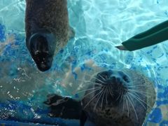 -太平洋海底世界