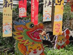 -大屏嶂森林公园