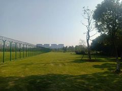 -瑶湖郊野森林公园