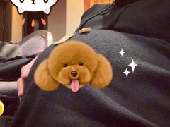 -南苑环球酒店云顶高级中餐厅(鄞县大道店)