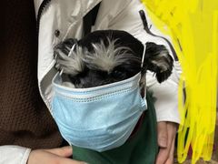 -艾贝尔宠物医院 ·内科全科(梁溪路店)