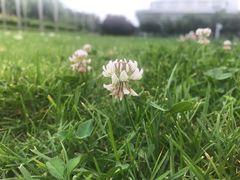 -北京国家会计学院