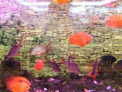 -潮喜竹溪荔湖酒家(荔枝湾店)