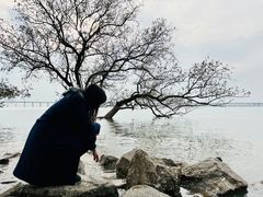 -宝安西湾红树林湿地公园