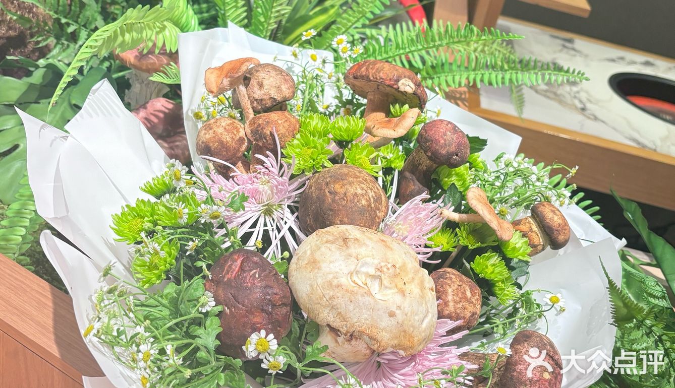 野生菌的盛宴，这家店焖饭鸡汤双绝✨