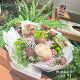 野生菌的盛宴，这家店焖饭鸡汤双绝✨