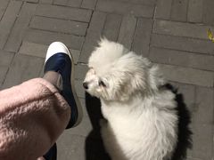 -仁华宠物医院(青羊店)