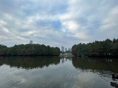 -厦门园林博览苑